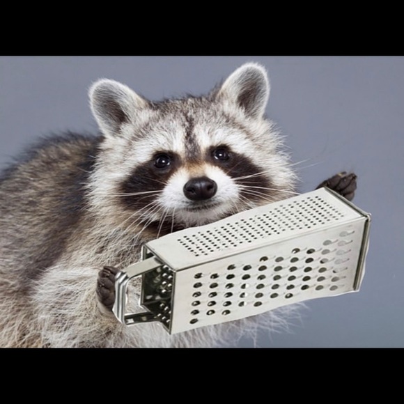 Meet your Posher, David - Picture 1 of 1